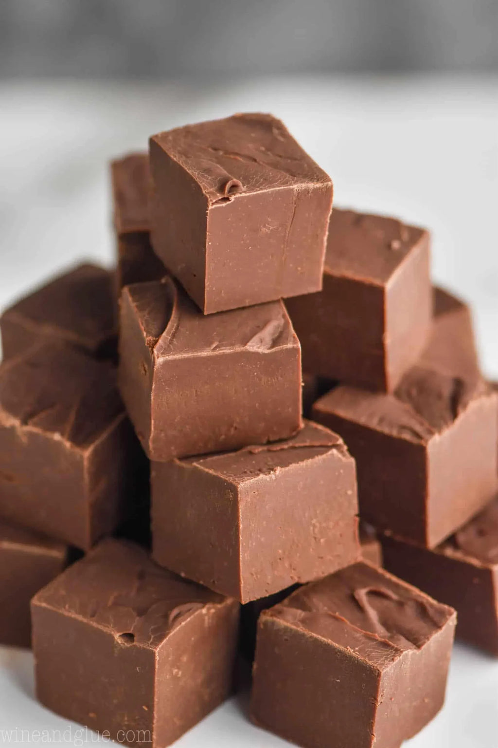 Dark Chocolate Fudge — Fundraising Box (2 pc / ~½ lb)
